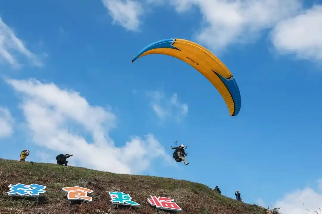 篮球不以比分得冠军_比分篮球冠军得多少分_比分最高的篮球比赛